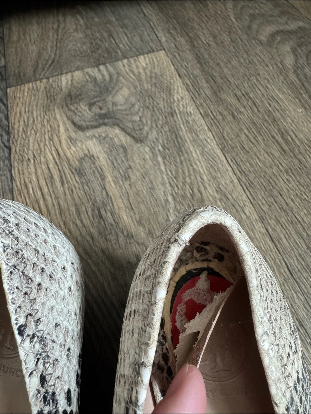 Tory Burch Sally Snakeskin Print Leather Logo Wedge Pumps Slip-On Round Toe 6M